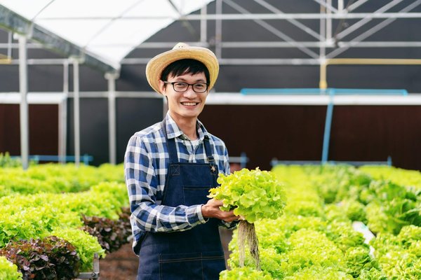 Ultimate Guide: Creating Your Home Vertical Farming System for Fresh Vegetables All Year Long
